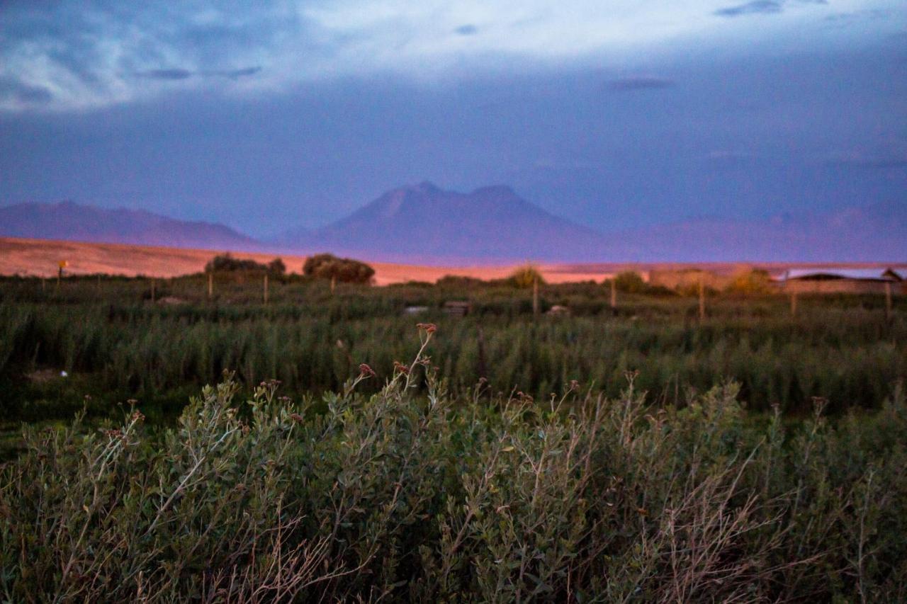 Sol Del Desierto Villa Chiuchiu Екстериор снимка